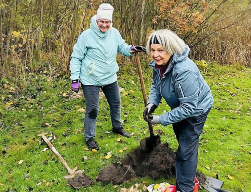 Platzpflegedienst am 15. November auf unserer Anlage in Hainmühlen